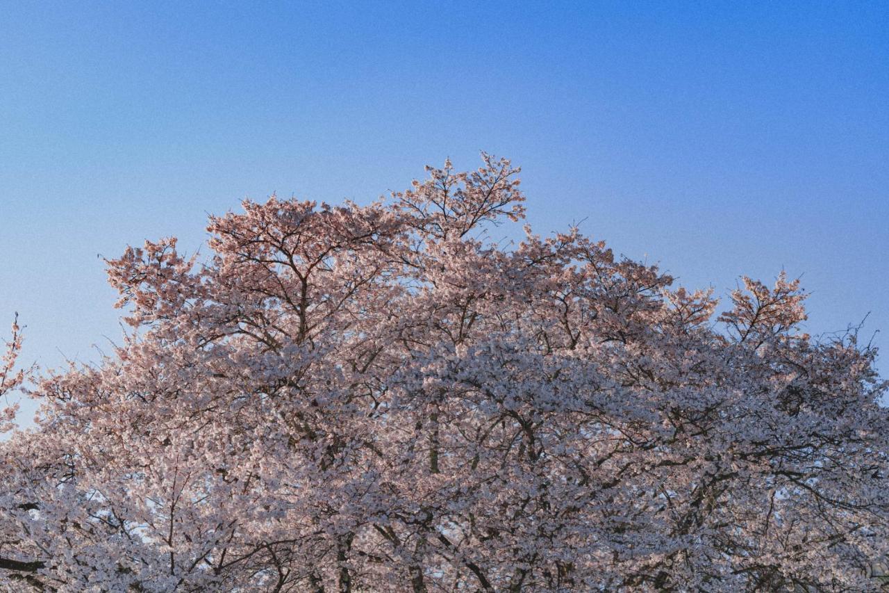 Kominkayado Loof Sakanoie Fuefuki Екстер'єр фото