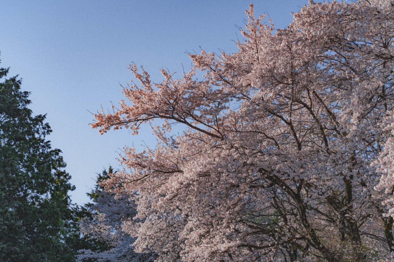 Kominkayado Loof Sakanoie Fuefuki Екстер'єр фото